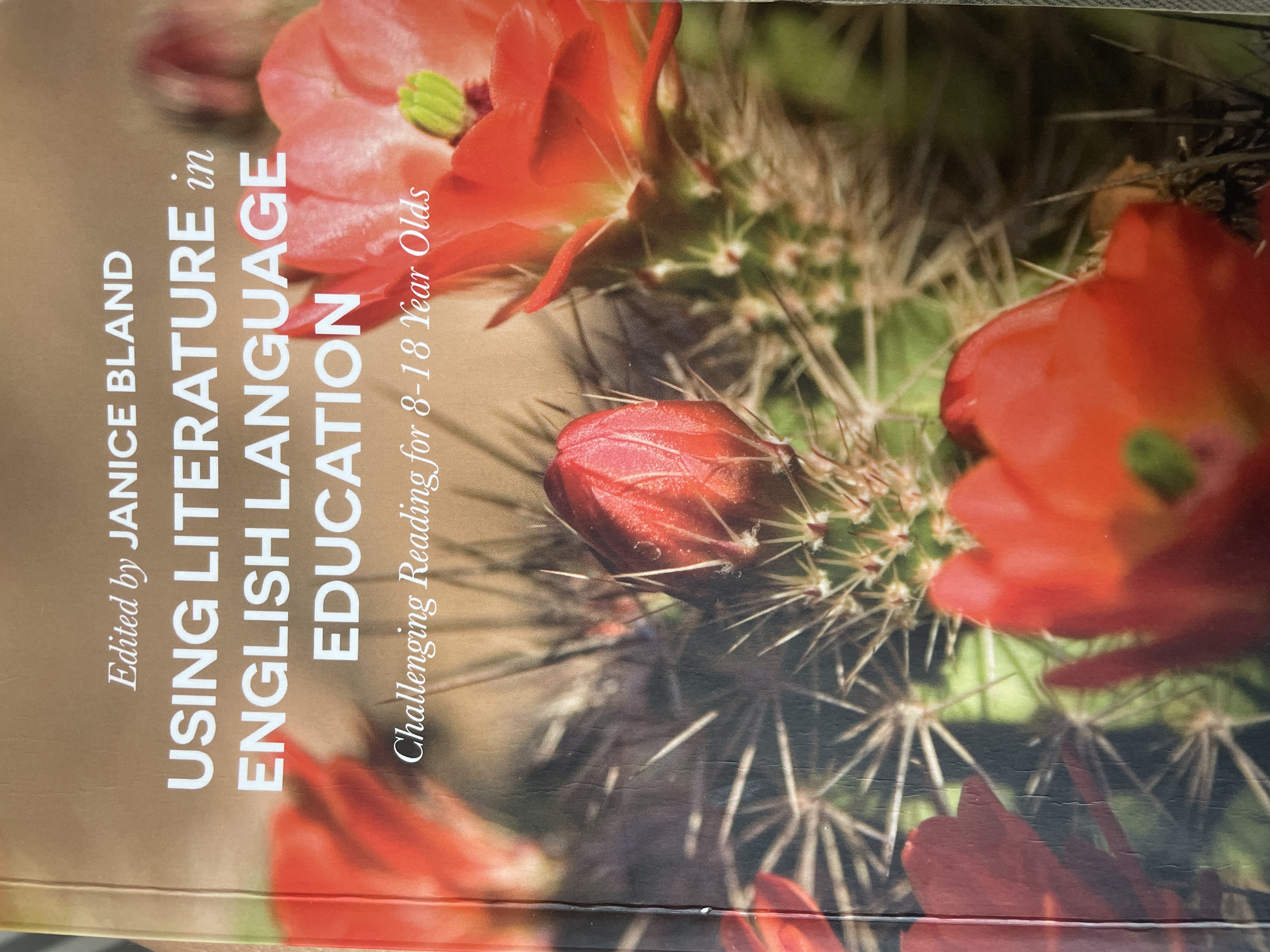 Using literature in English language education. Challenging reading for 8-18 year olds