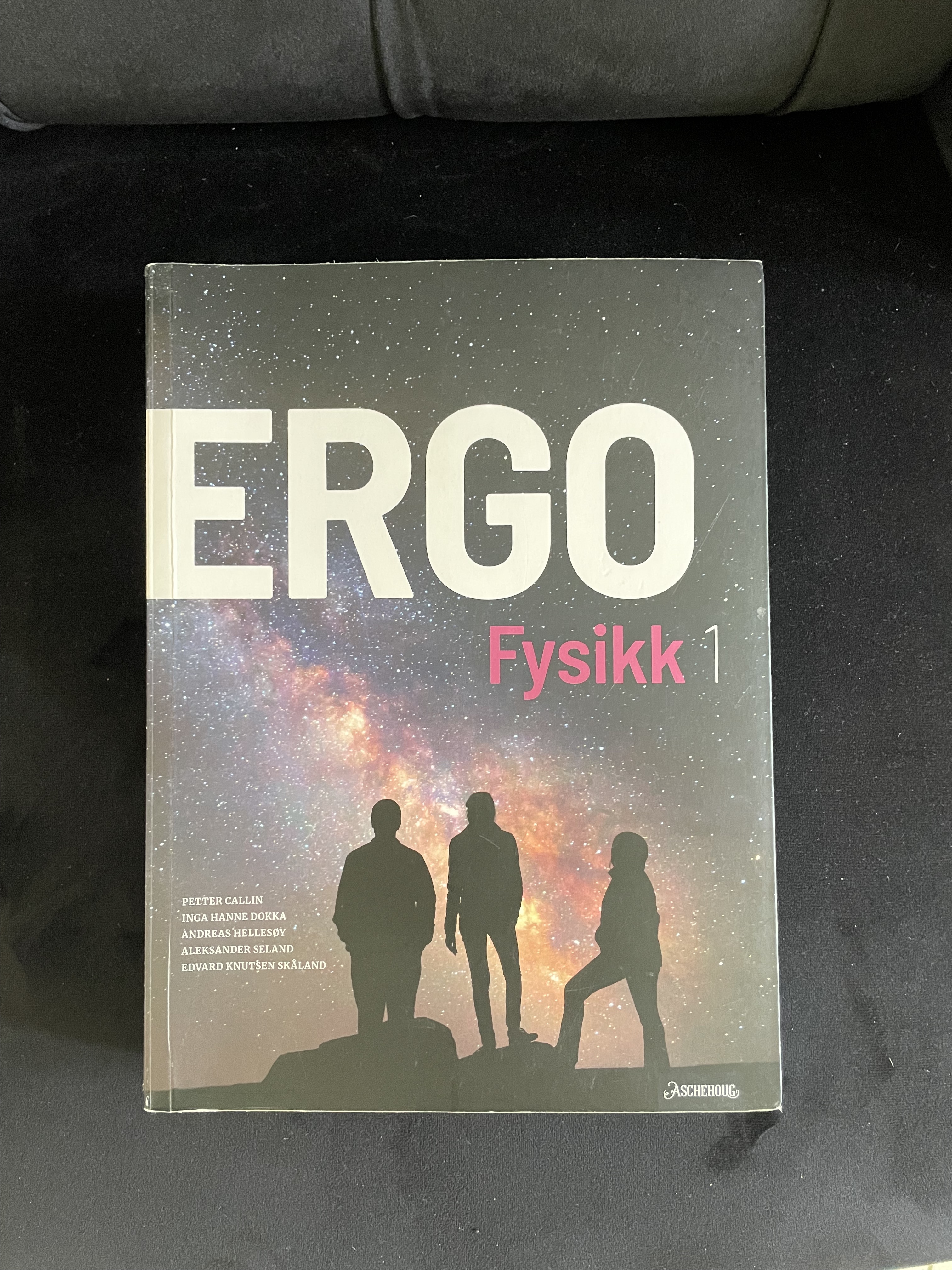ERGO Fysikk 1