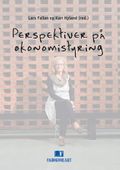 Perspektiver på økonomistyring