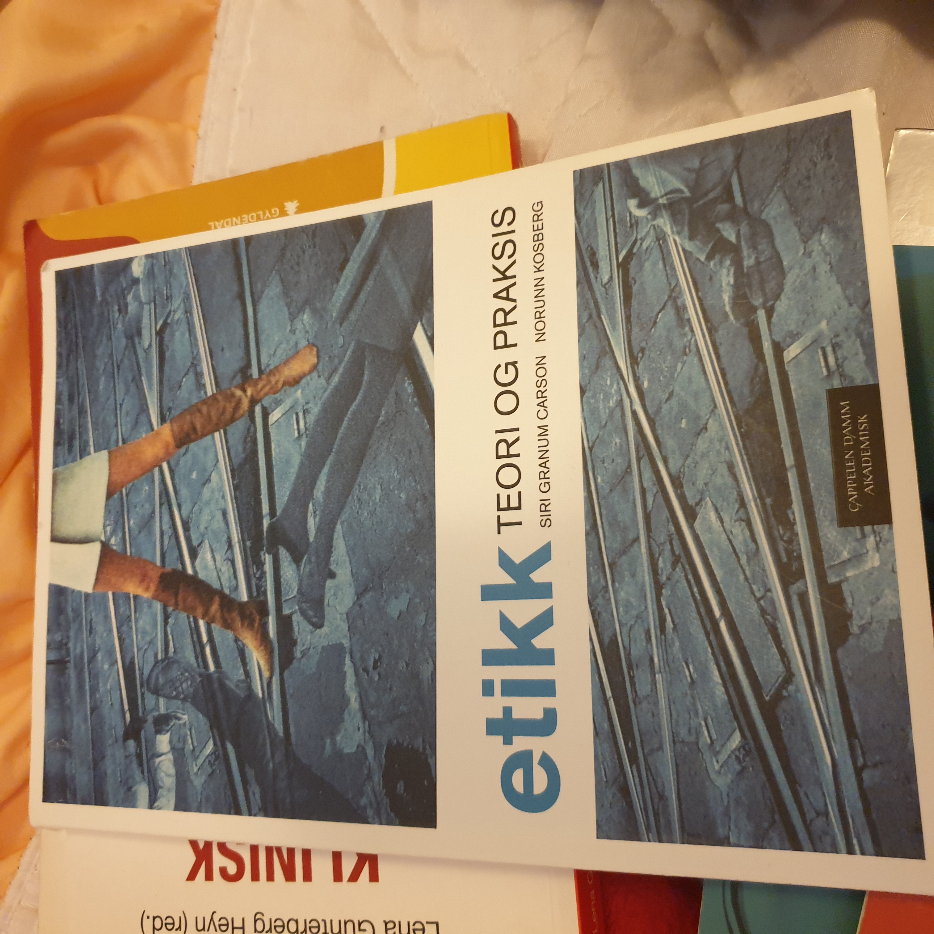 Etikk teori og praksis 