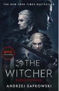 The witcher Blood of elves