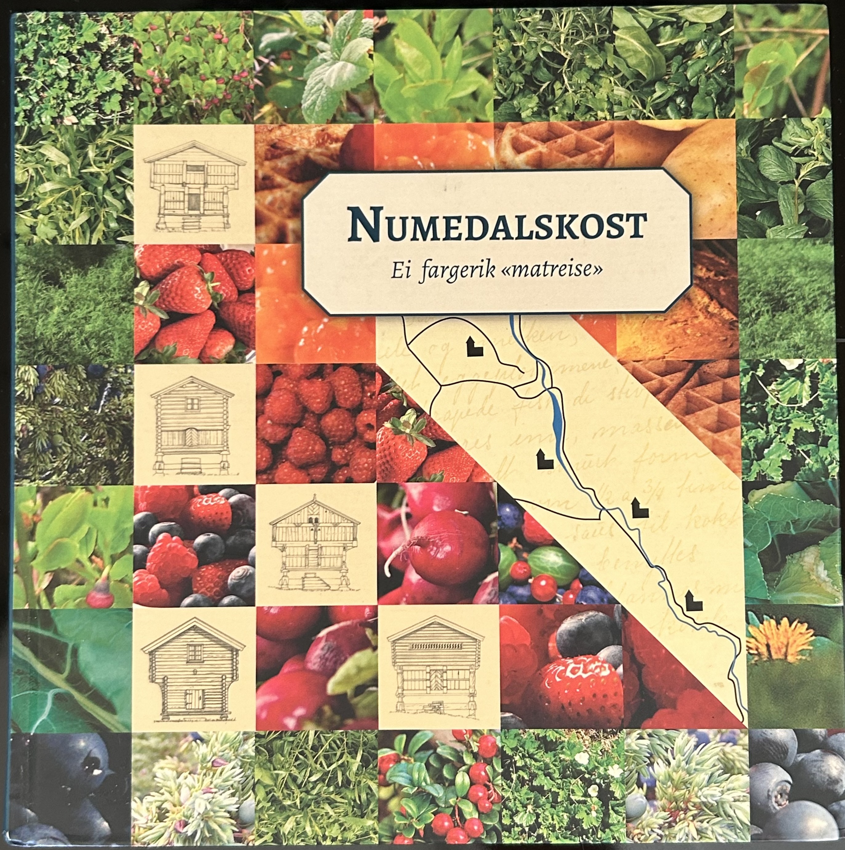 Numedalskost - Ei fargerik matreise gjønom Middelalderdalen