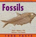 1000 Facts On Fossils