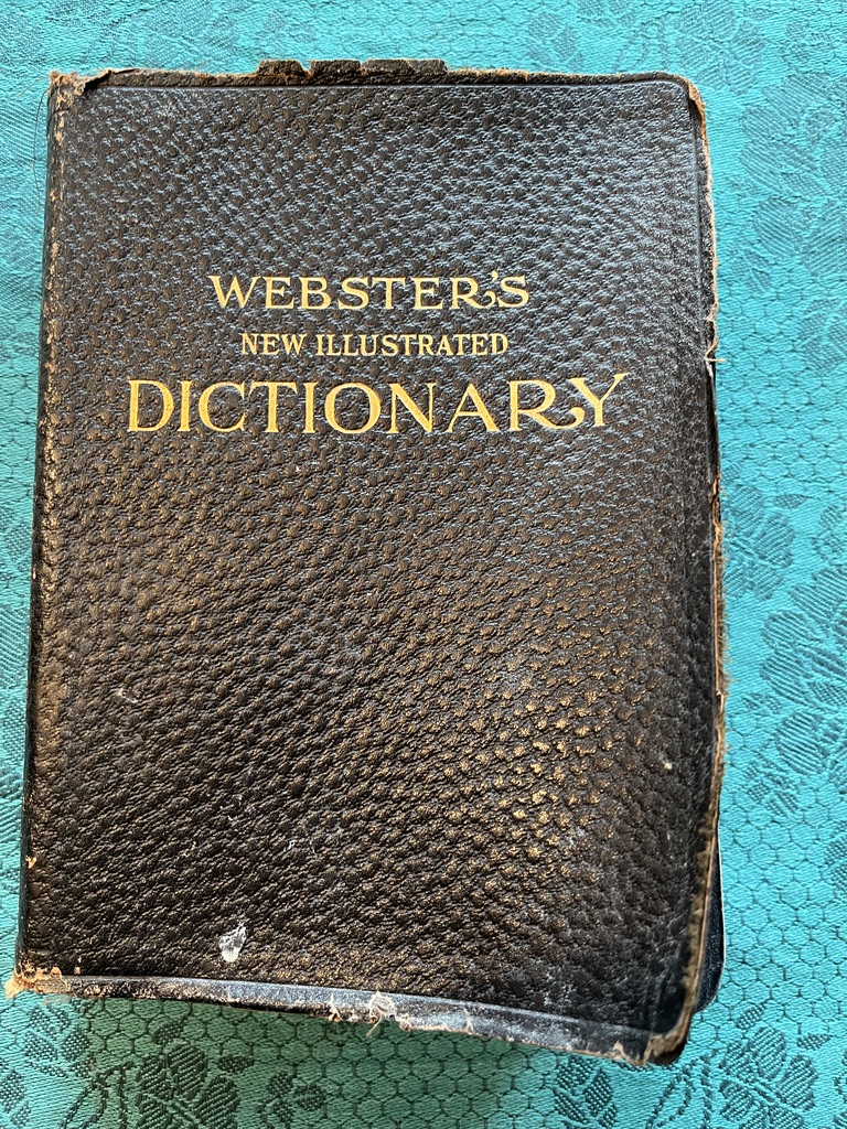 Webster's New Illustrated Dictionary