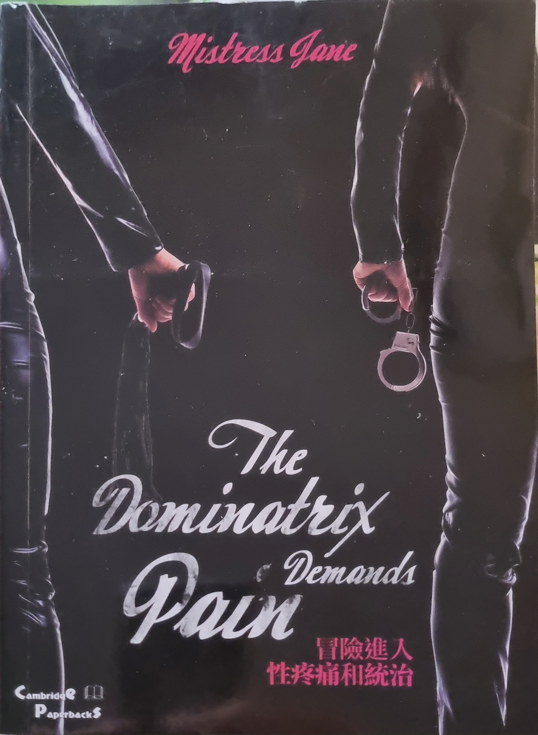 The Dominatrix Demands Pain