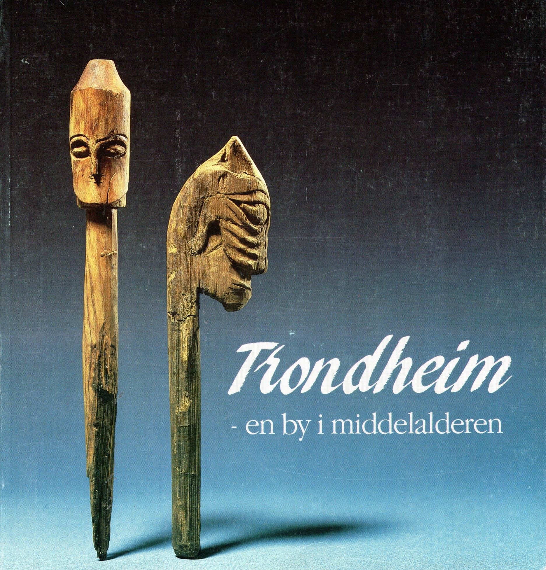 Trondheim - en by i middelalderen