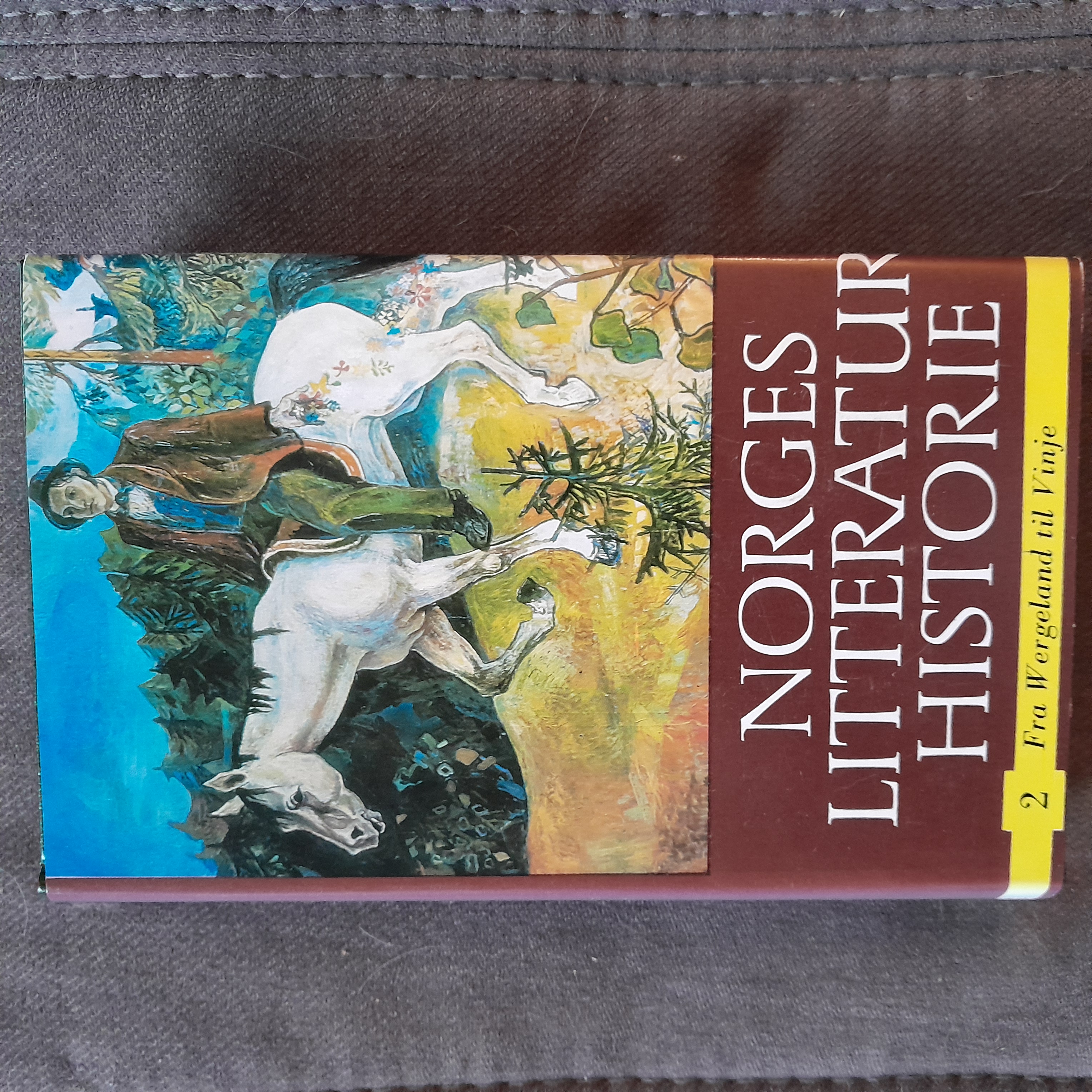 Norges literaturhistorie 2. Fra Wergeland til Vinje