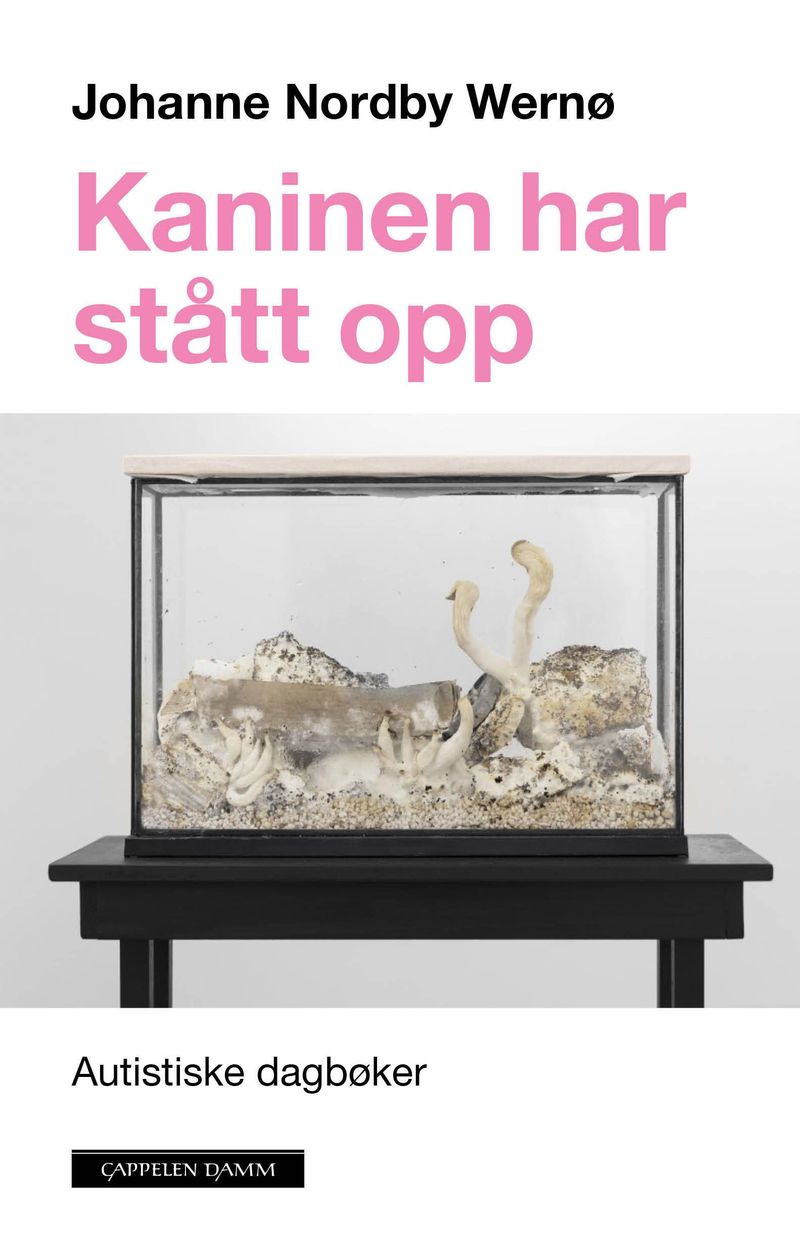 Kaninen har stått opp