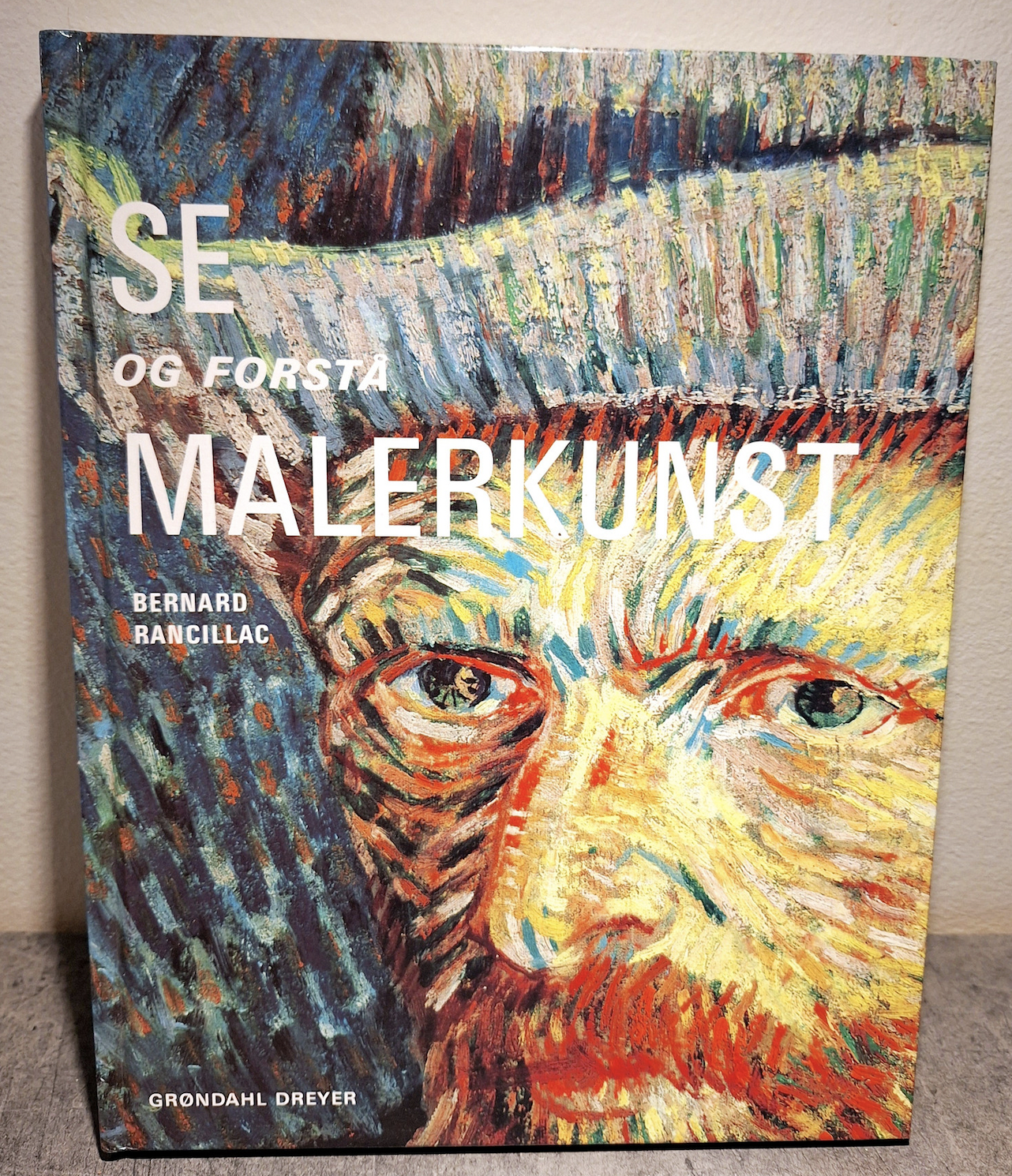 Se og forstå malerkunst