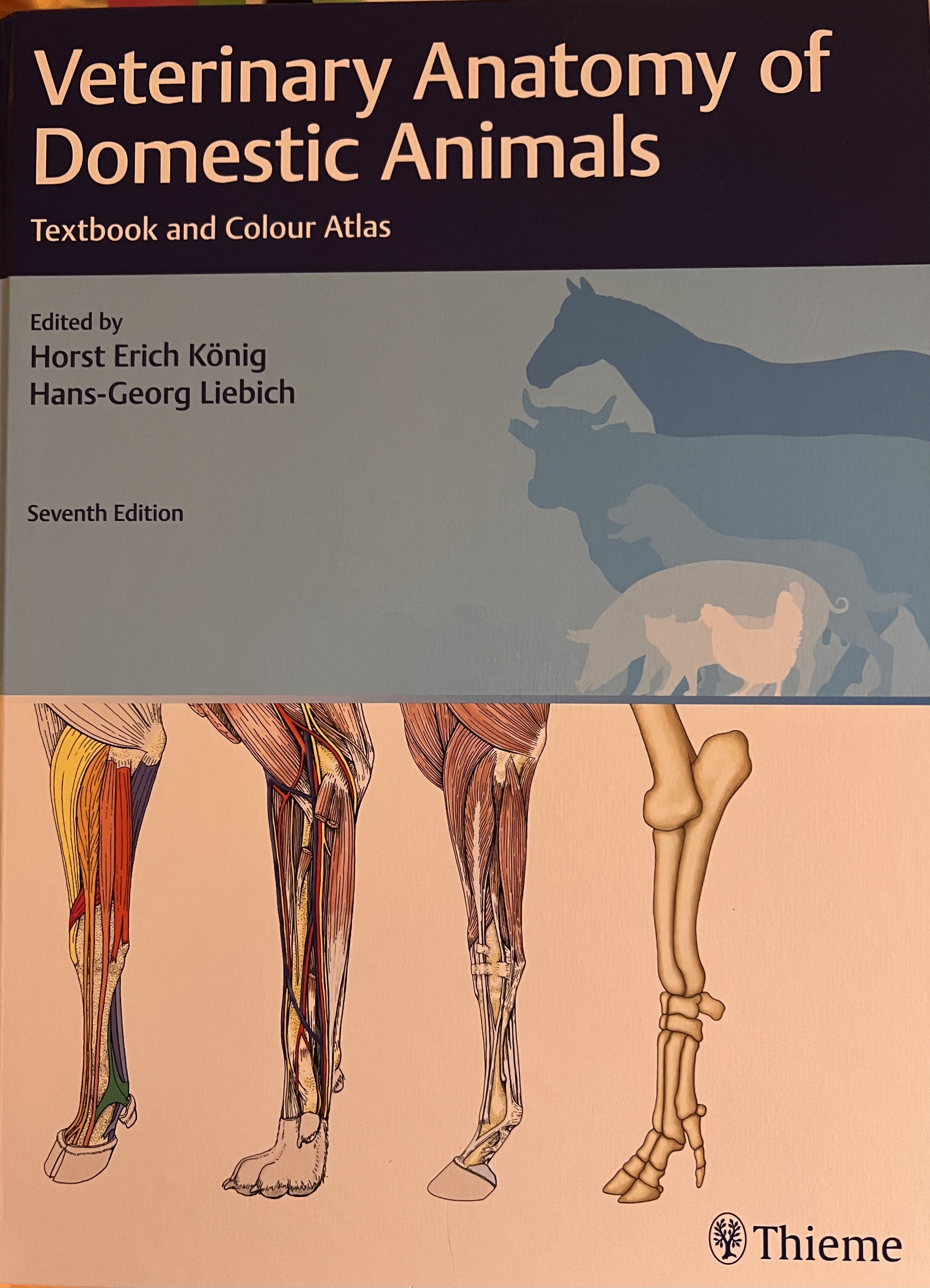 Veterinary Anatomy of Domestic Animals