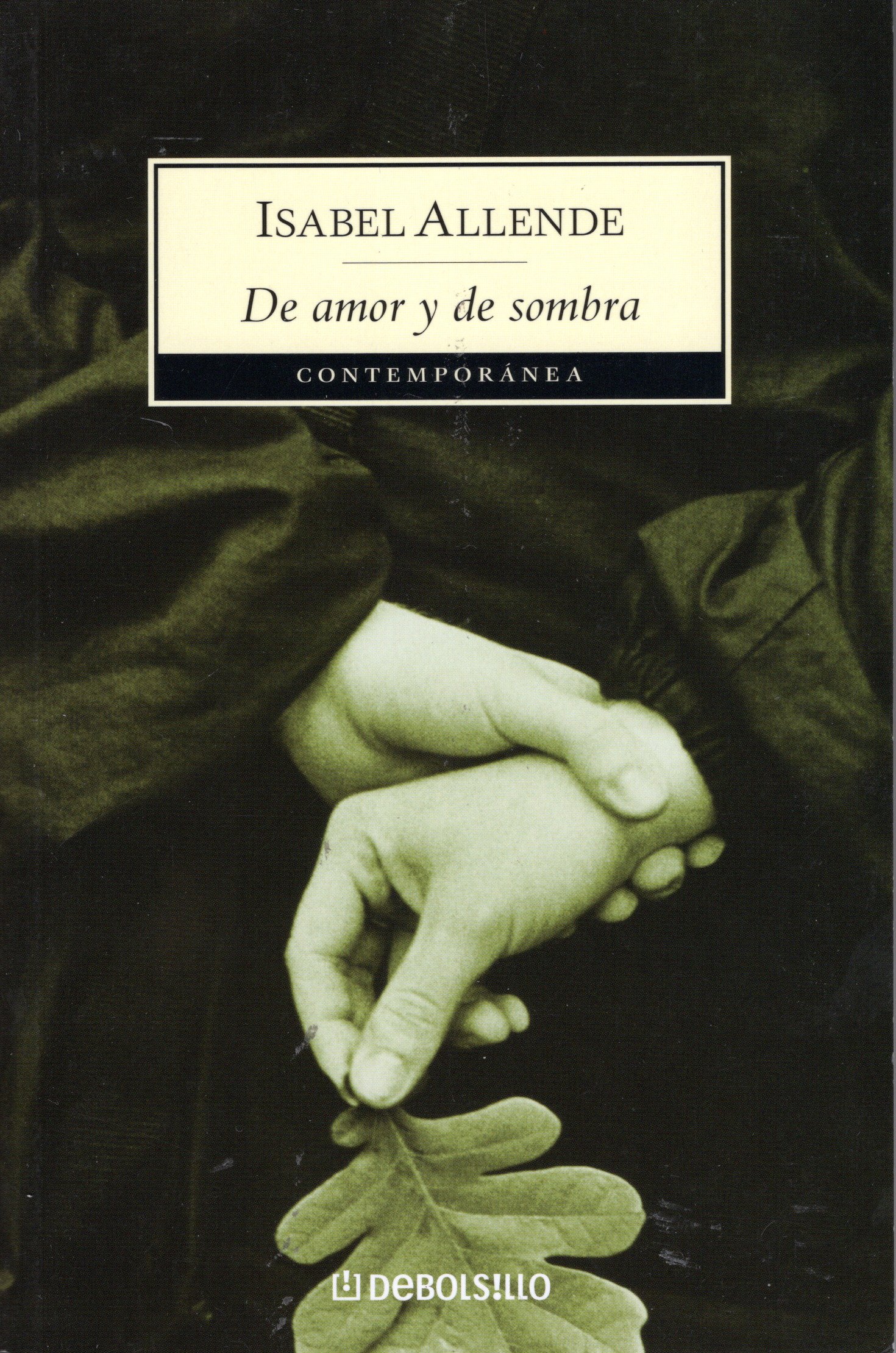 De amor y de sombra