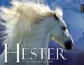 Hester