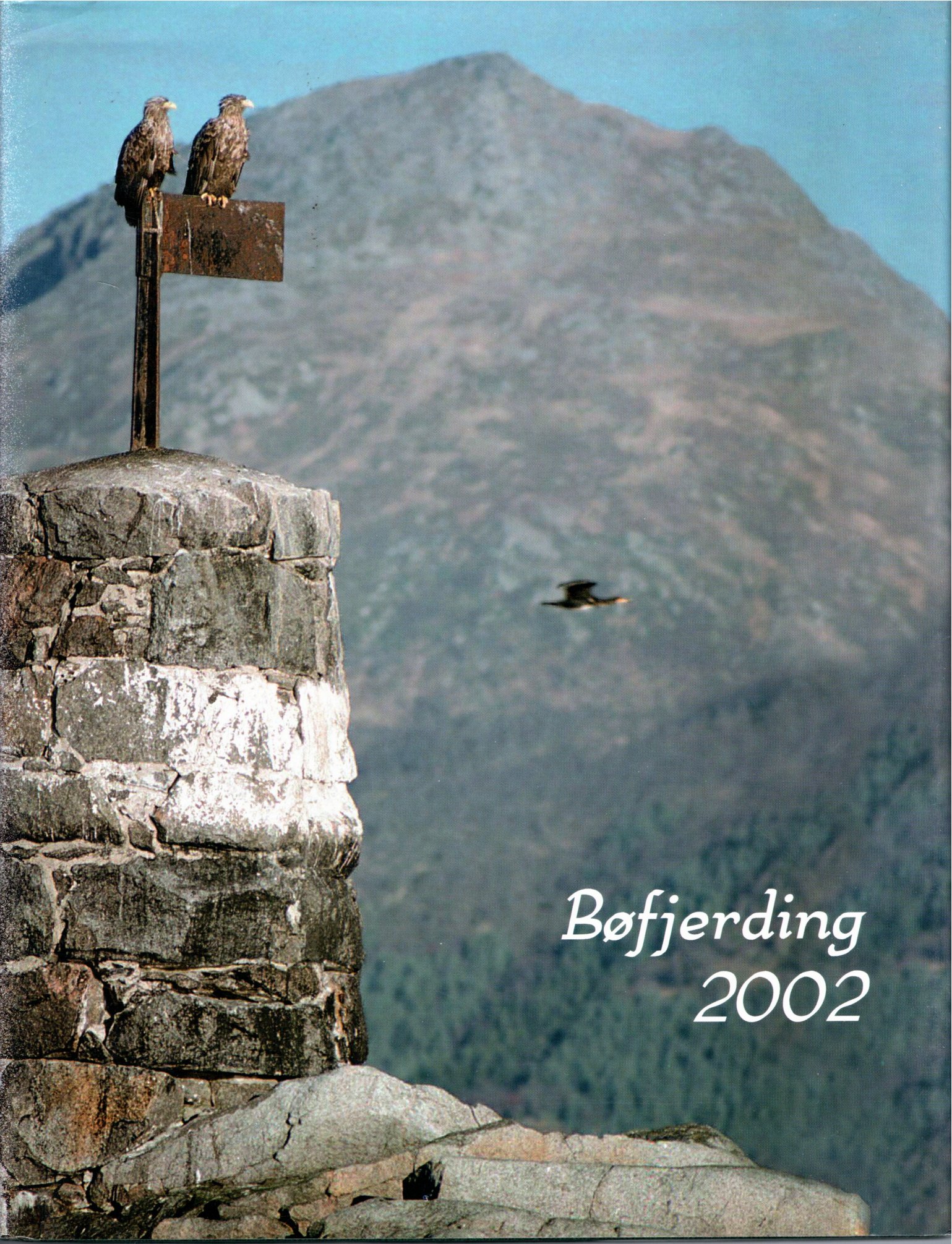 Bøfjerding 2002