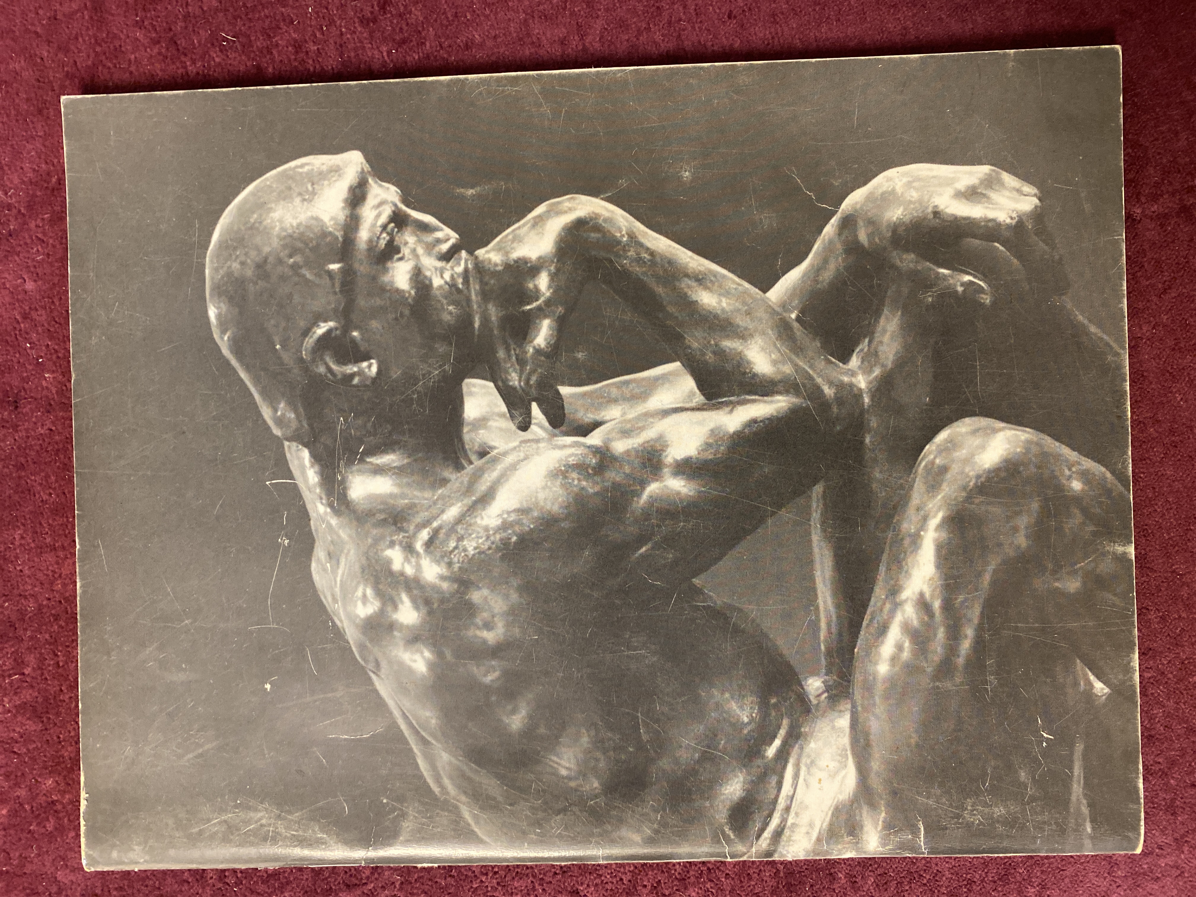 RODIN levende form