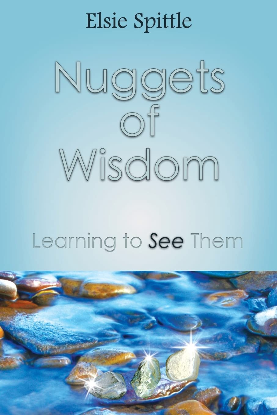 Nuggets of Wisdom: Learning to See Th