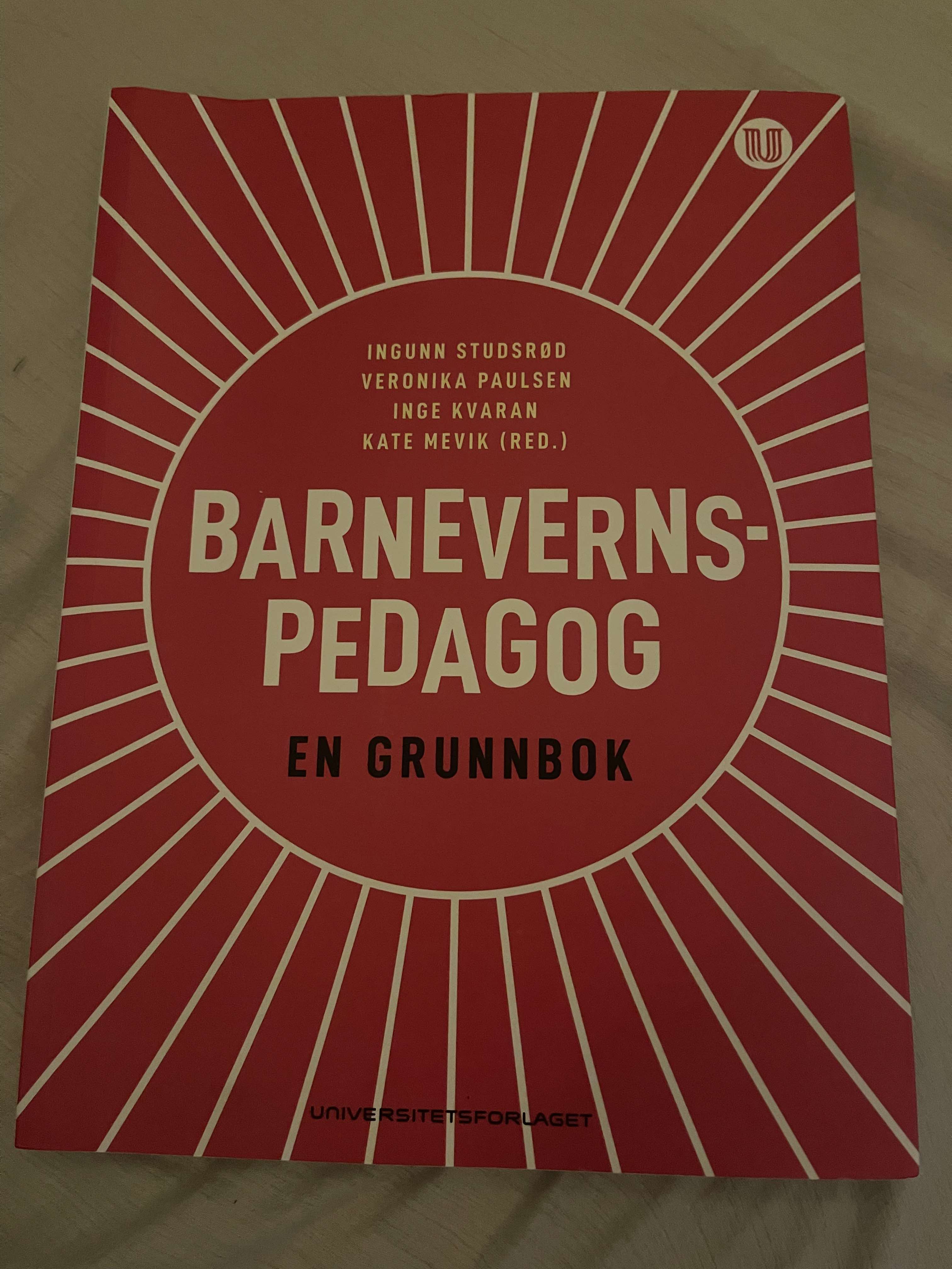 Barnevernspedagog en grunnbok 