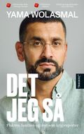 Det jeg så