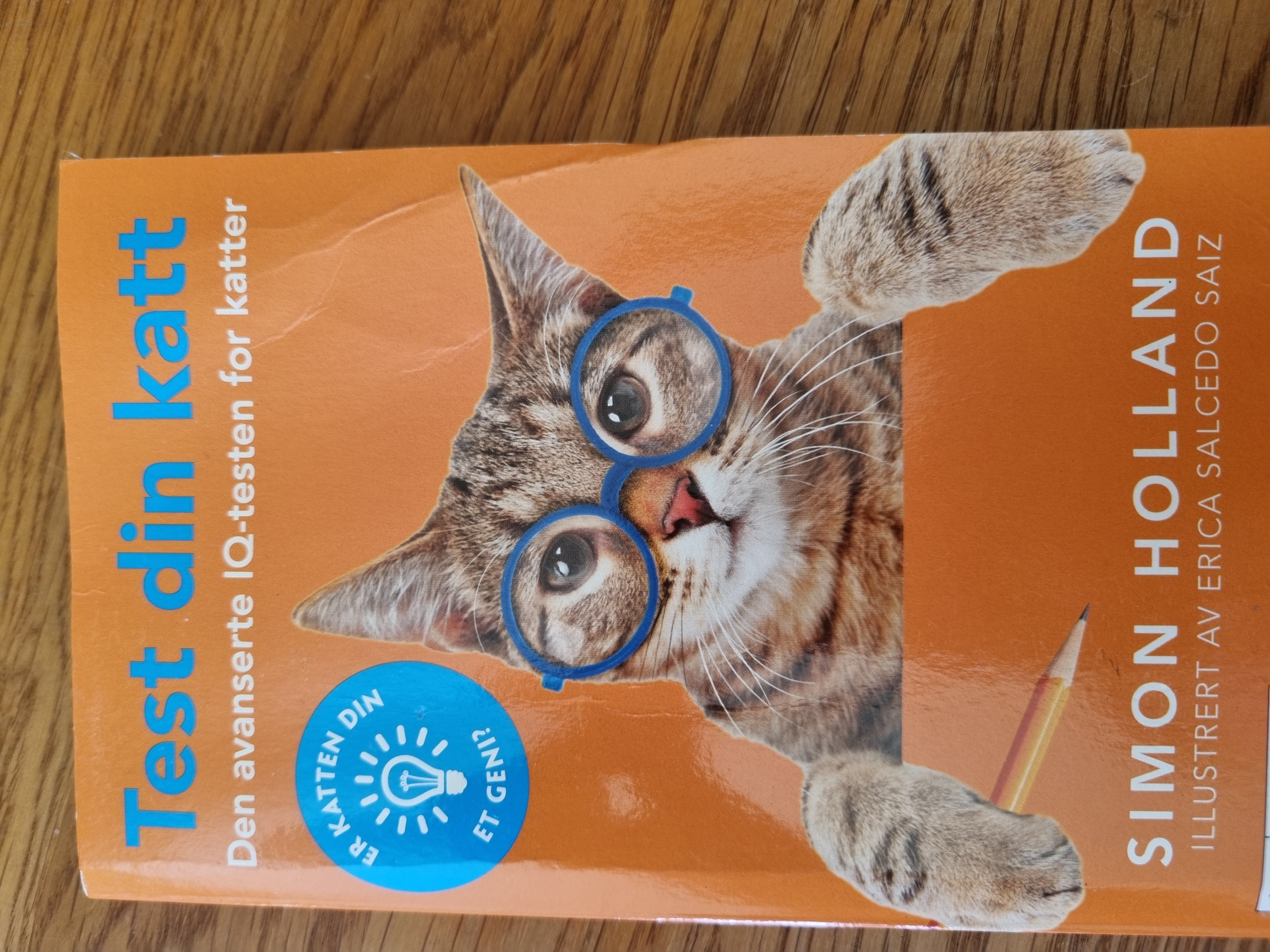 Test din katt - Den avanserte IQ-testen for katter