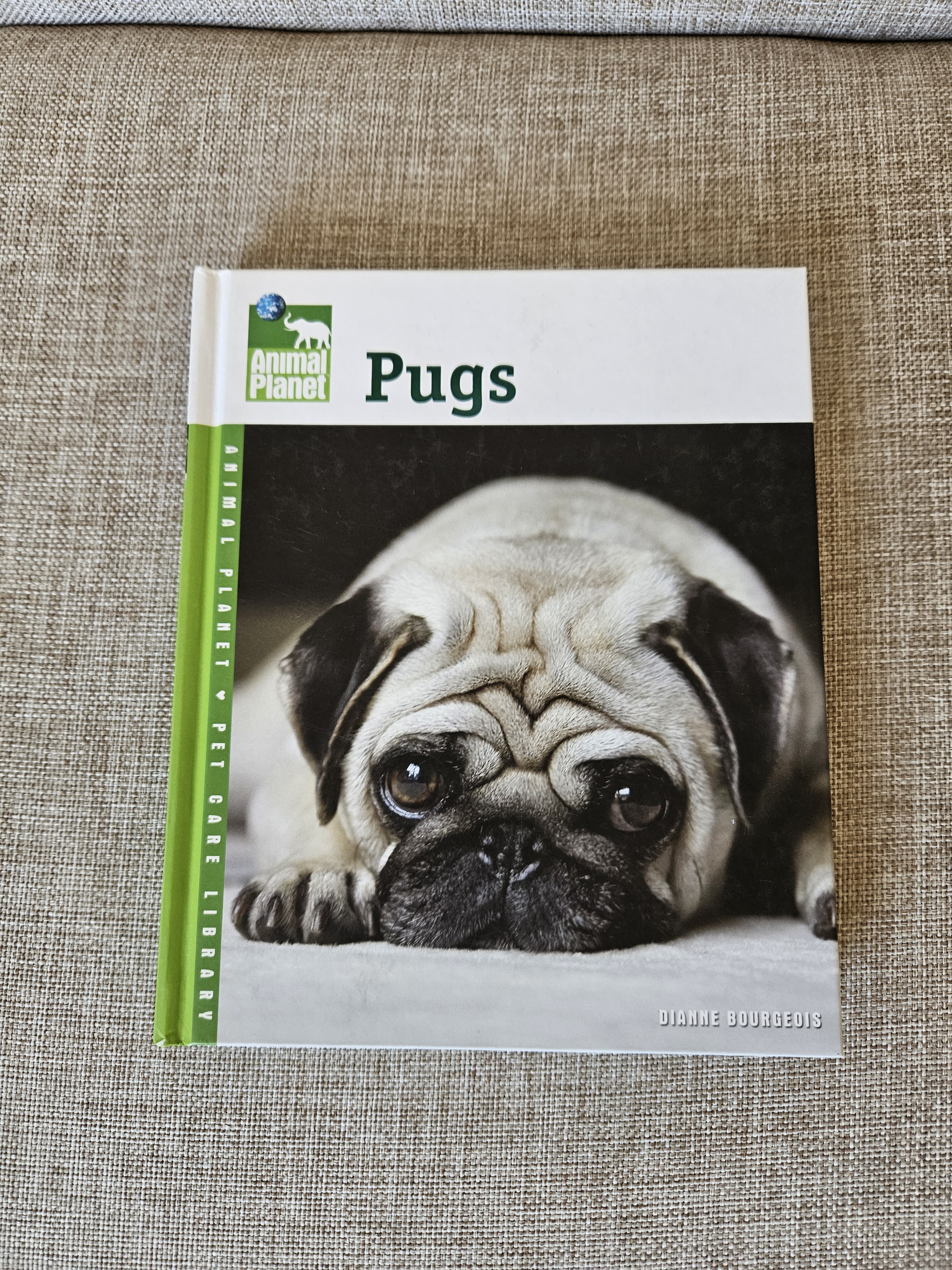 Pugs - animal planet