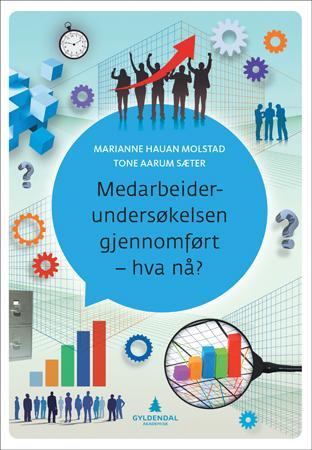 Medarbeiderundersøkelsen gjennomført - hva nå?