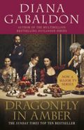 Dragonfly in amber