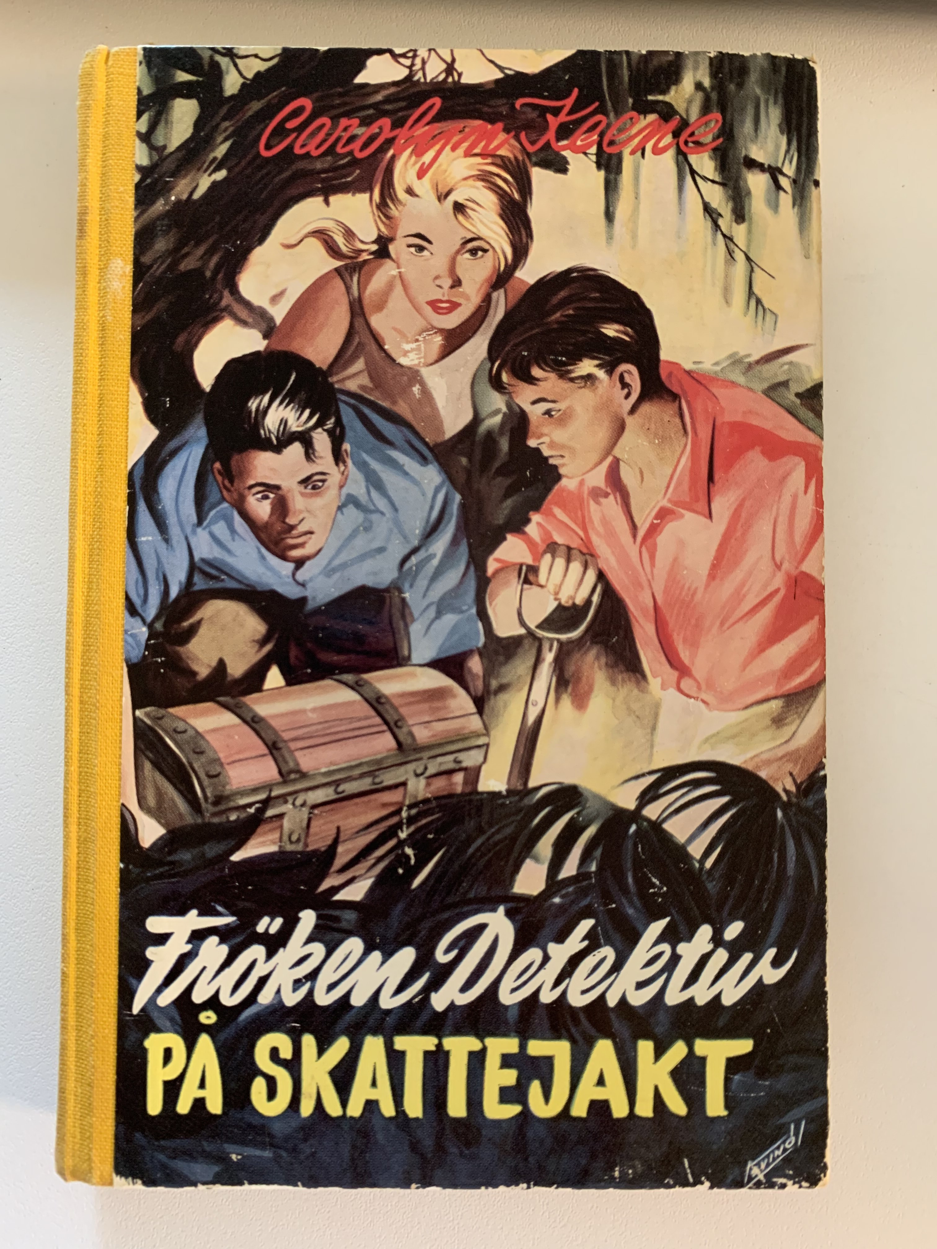 Frøken detektiv på skattejakt