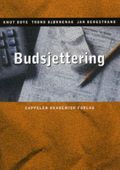 Budsjettering