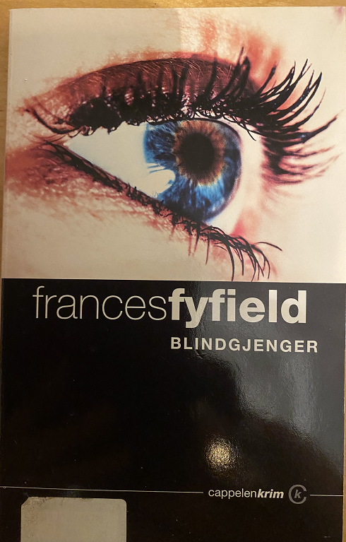 Blindgjenger