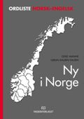 Ny i Norge