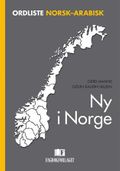 Ny i Norge