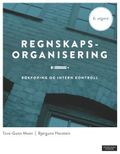 Regnskapsorganisering