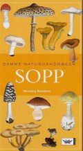 Sopp