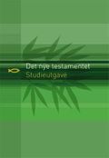 Det nye testamentet