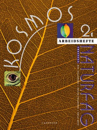Kosmos 2t