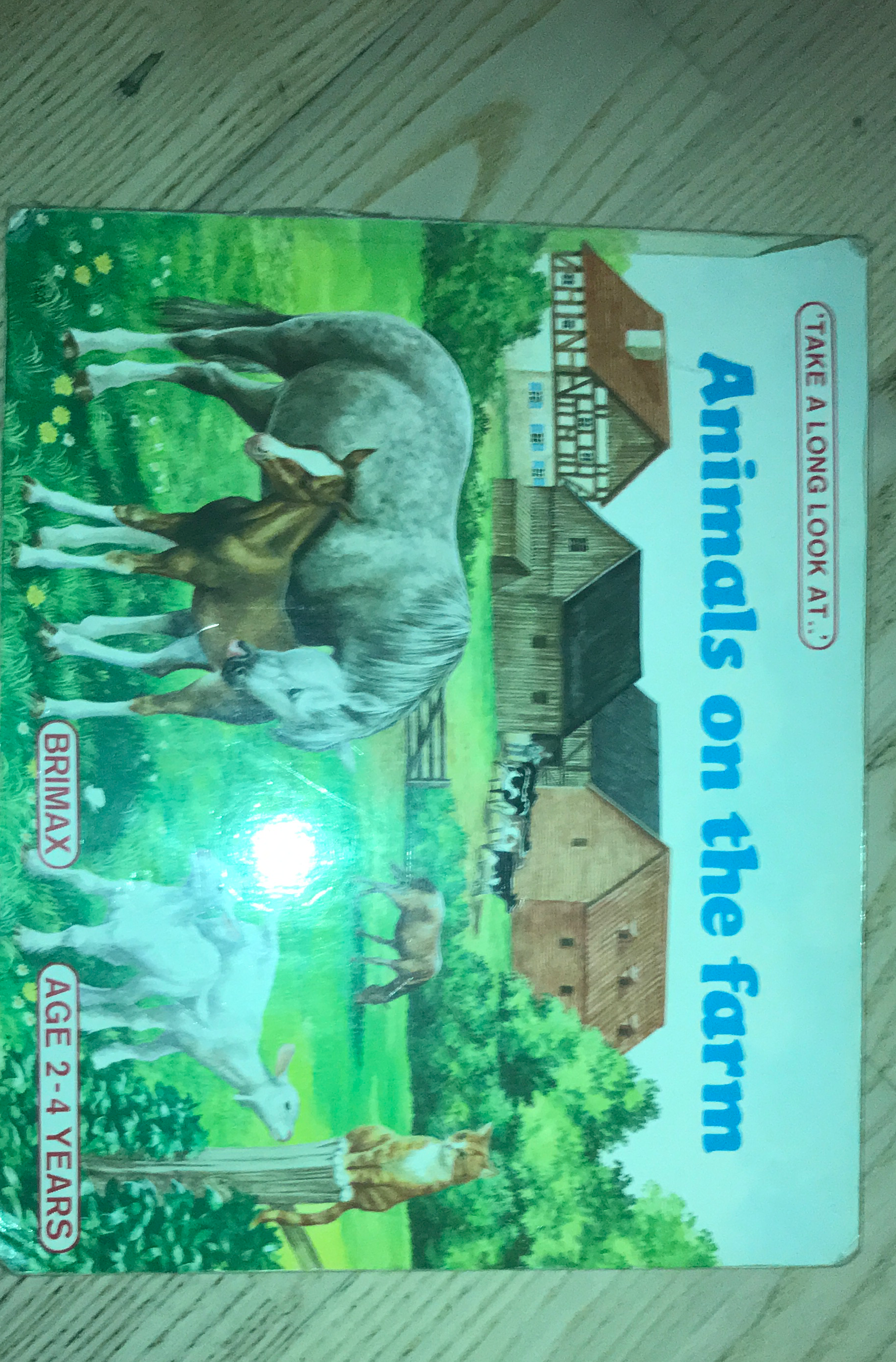 Animals on the farm