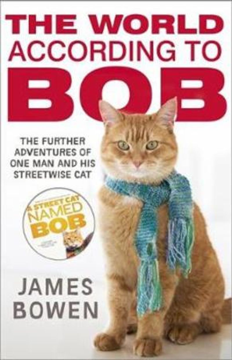 The world according to Bob
