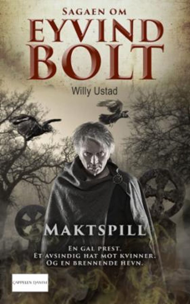 Maktspill