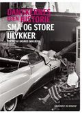 DEH Små og store ulykker