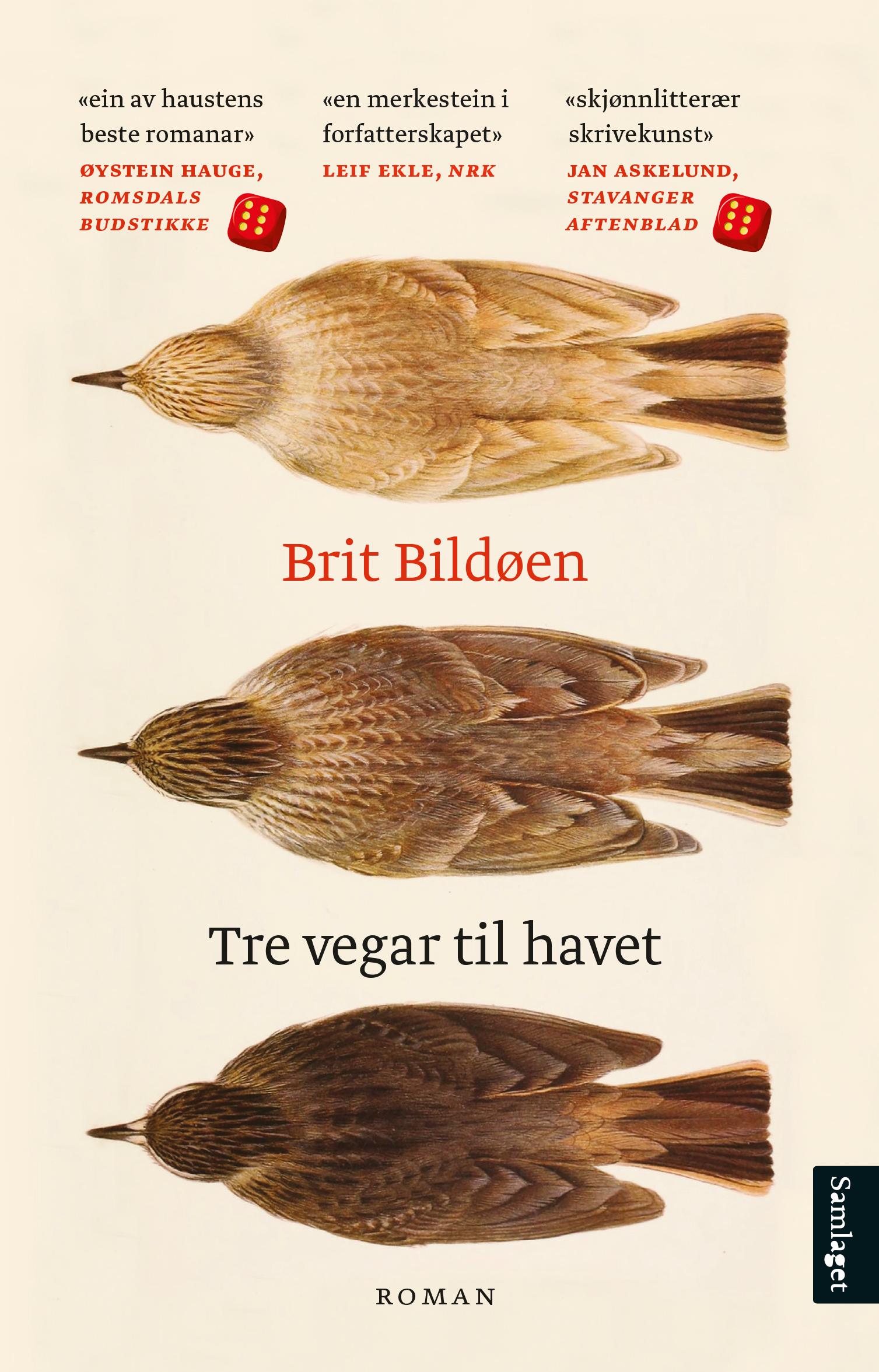 Tre vegar til havet