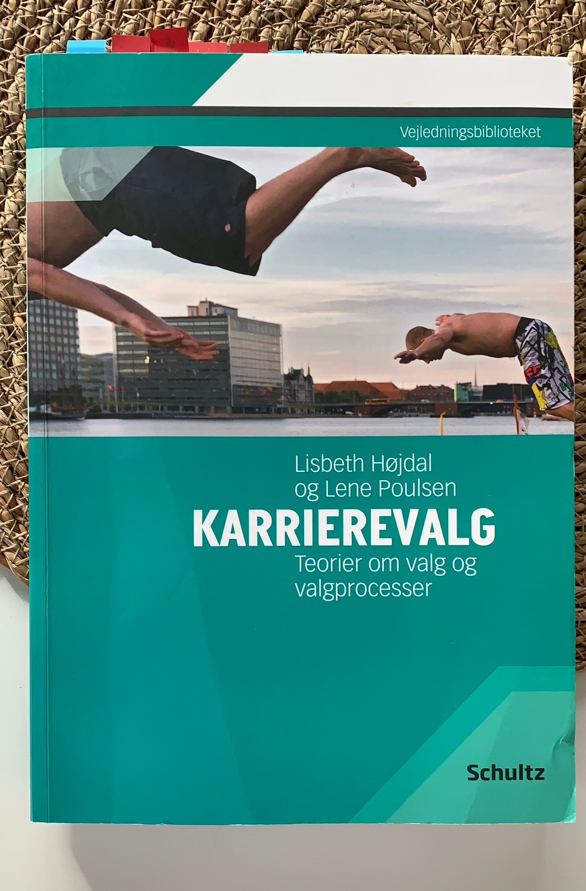 Karrierevalg teorier om valg og valgprocesser