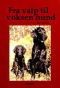 Fra valp til voksen hund