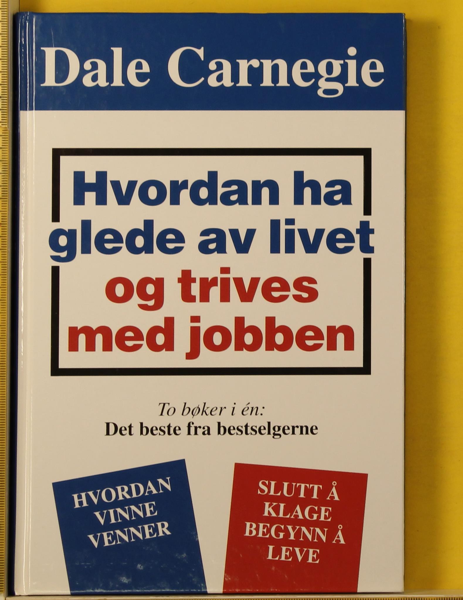 Hvordan ha glede av livet og trives med jobben