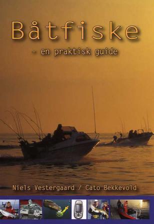 Båtfiske