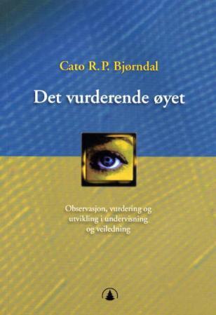 Det vurderende øyet