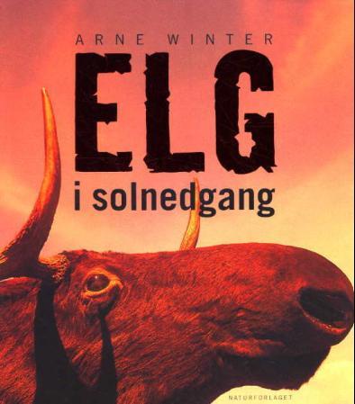 Elg i solnedgang
