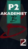 P2-Akademiet B