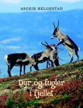 Dyr og fugler i fjellet