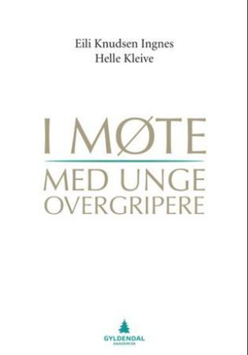 I møte med unge overgripere