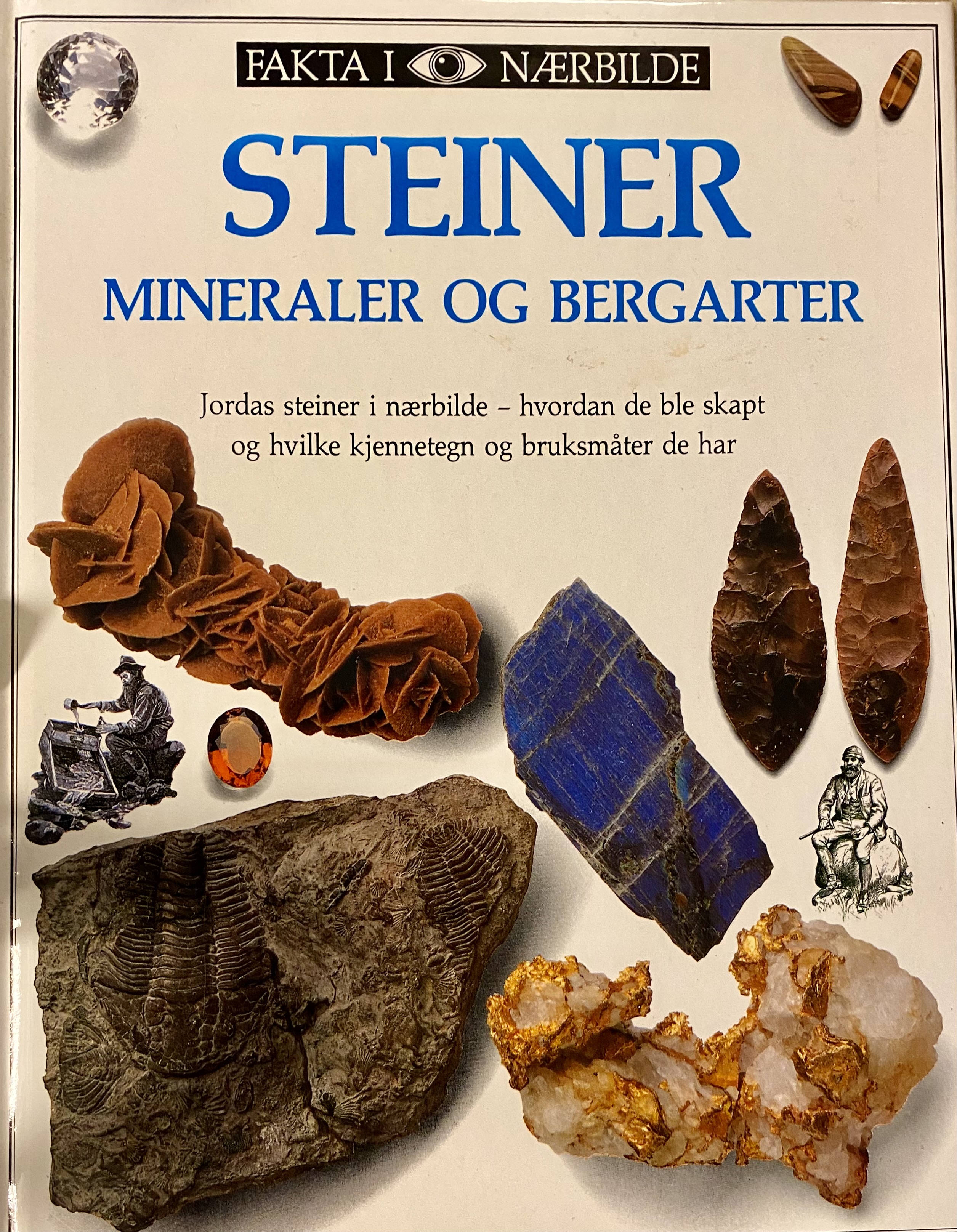 Steiner