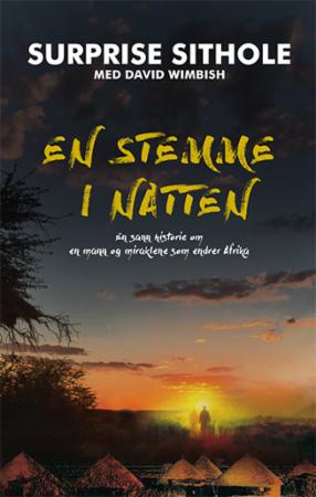 En stemme i natten
